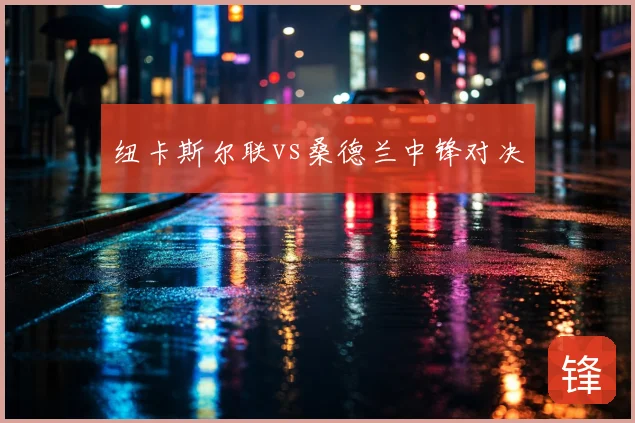 纽卡斯尔联vs桑德兰中锋对决